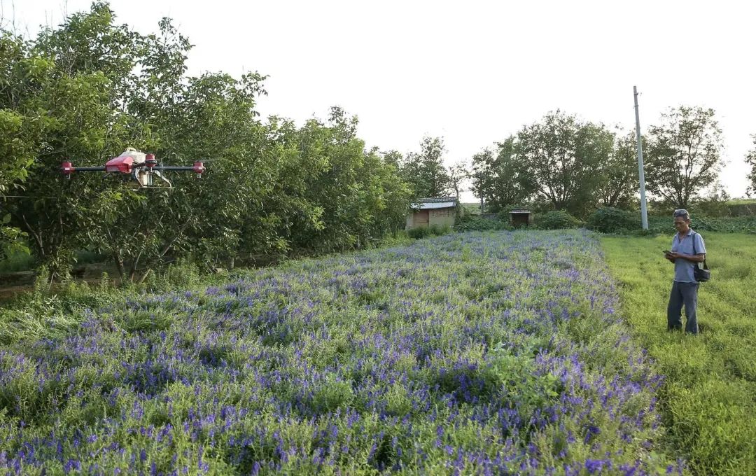 1634347247729001.jpg b357de7ee01166000d04c1dcf40b7524.jpg