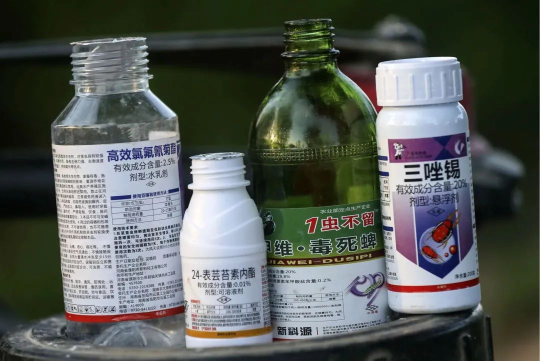 1634347254847683.jpg 14d3863a675bc8b549783e31f22ff8dd.jpg