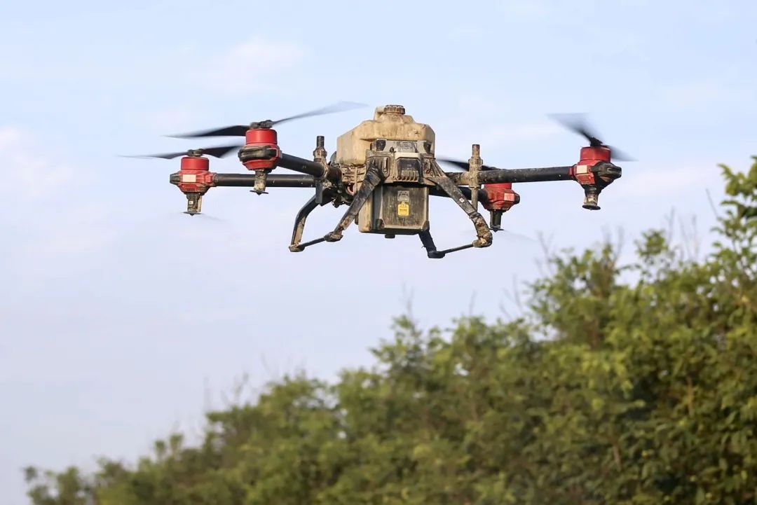 1634347268135722.jpg 2fb9df766668442cb133373f7e0a67b4.jpg