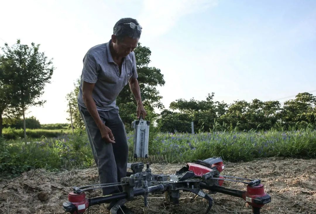 1634347275113268.jpg d12bc12c8499dce7ef49a4e703330793.jpg