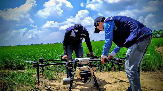 1687941784101887.jpg 33.jpg