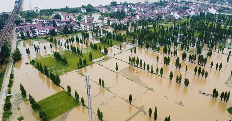 1691545212203191.jpg 未標(biāo)題-1.jpg