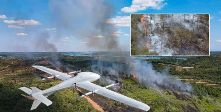 1692755291103628.jpg 未標(biāo)題-3.jpg