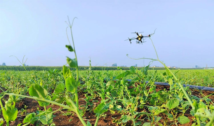 1696569185220844.jpg 2.jpg