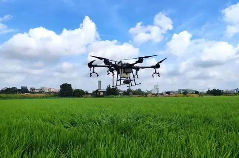 1704627931414003.jpg 未標題-3.jpg